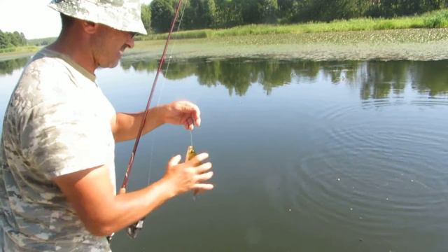 ловля красноперки в Сорокошичах с Суреном смотреть онлайн