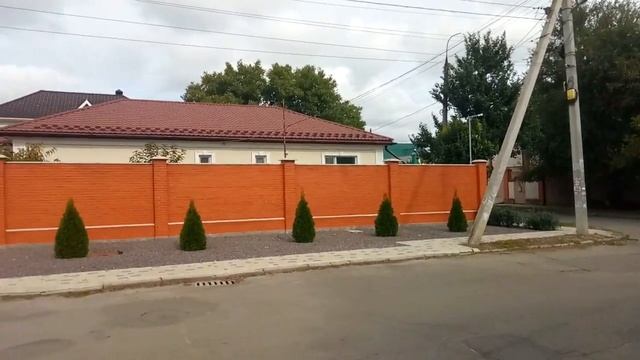 Вьюнок "кленовый" на забор. Очень красиво и природно. Херсон 22.09.2022 улицы города, особняки смотреть онлайн