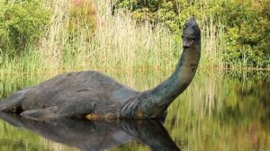 8 Самых Аномальных Мест На Земле.  Мистические места планеты. Зомби Чез