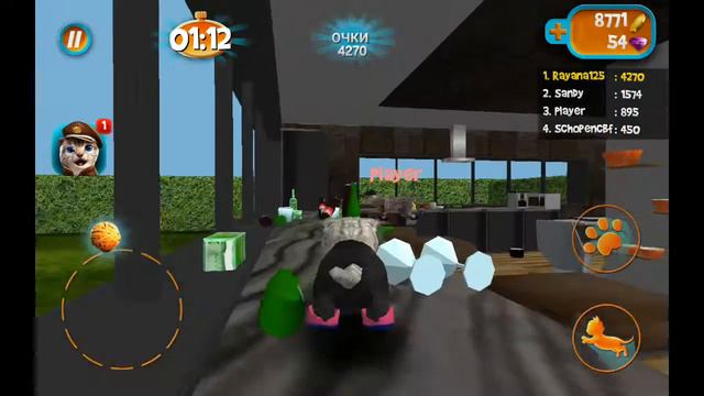 Как занять 1 место в онлайн котов 😊😸 смотреть онлайн