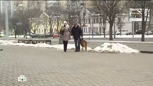 Возвращение Мухтара 2. Рогоносец
