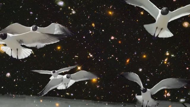 You and Me by ThE WooD HeaD BoB | Jam w/ Sam Robinson (Marvelous Funkshun) | Unplugged 2022 смотреть онлайн