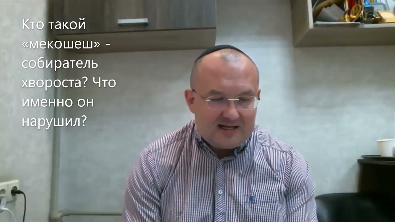 Кто такой «мекошеш» - собиратель хвороста? Что он нарушил? 5 мнений мудрецов! Недельная глава Шлах