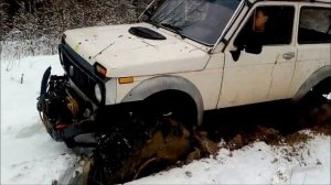 нива на дольняк