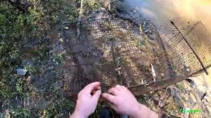Рыбалка на Мордушки Катиски осенью в обмелевшей Сибиркой реке. Эти снасти умеют удивлять уловом.