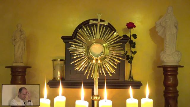 Adoración Eucarística Online, martes 11 de agosto de 2020 смотреть онлайн