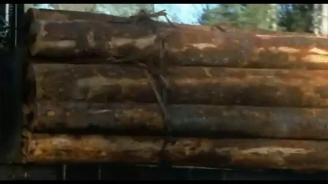 БОМЖDEAD