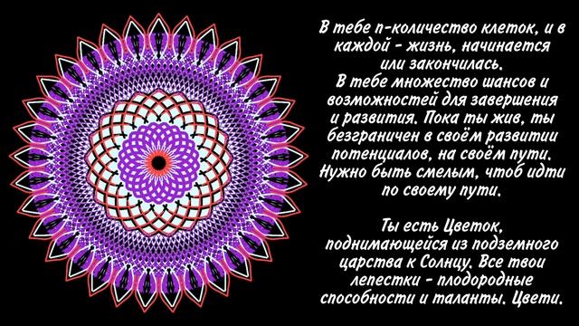 #луна #послание #интуиция #состояние #гармония #медитация #мандала #предназначение #путь #лотос смотреть онлайн