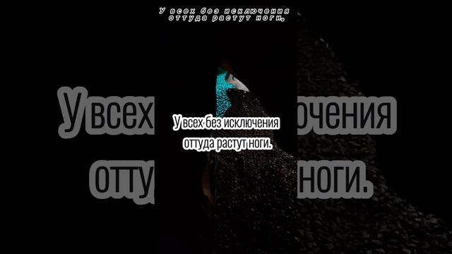 самый главный орган #анекдот