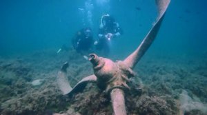 Одним из самых красивых мест для дайвинга на Черном море является мыс Утриш.