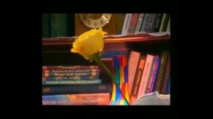 Нафкат Нигматуллин Сине соям хэзер, сине генэ