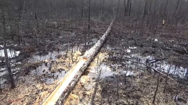 ДЕЛАЕМ СОЛОНЕЦ ЗА ПОЛ ЧАСА. смотреть онлайн