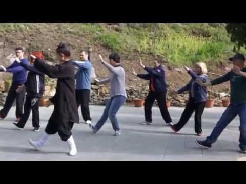 Удан тайцзицюань.  Институт Wudang Daoist Kungfu  Academy. Ассоциация Даоинь России. /2016 год/