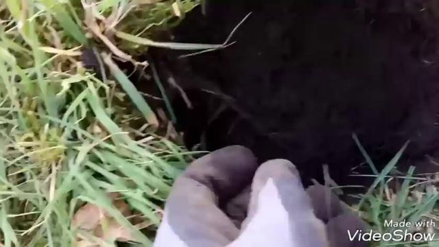 Что можно найти в Германии на газоне перед домом смотреть онлайн