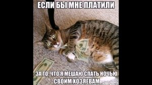 Смешные картинки с подписями