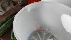 Посыпать морковь ПЕПЛОМ. Заготовка моркови на зиму в золе, а не в песке. Новый для нас вид заготовк