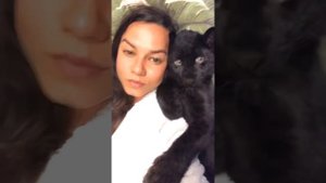(Eng Subs) Panther Luna from a kitten to a graceful leopard?