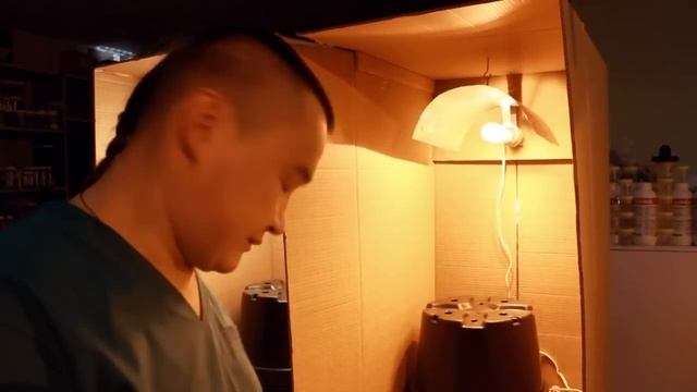 #011 ЭСЛ vs ДНАТ. смотреть онлайн