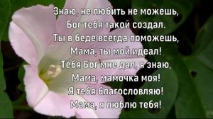 Почему седеют мамы. Елена Ваймер