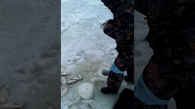 Рыбалка по первому льду. Дон. смотреть онлайн