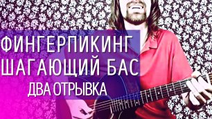 Шагающий бас в технике фингерпикинг на акустической гитаре (Гитарист Алексей Левин)
