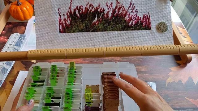 Старт! Какое все красивое, какое всё зеленое!)))
