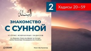 Чтение избранных хадисов. Хадисы 21-59. Ринат Абу Мухаммад