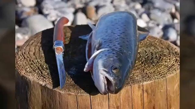 Ад на земле ,в людях дьявол. смотреть онлайн