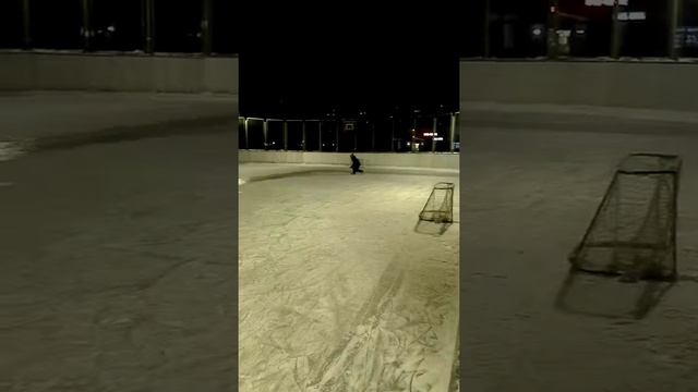 18.01.2016. Авиаконструкторов. Каток "Саботаж". смотреть онлайн