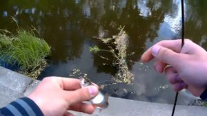 Мормышинг в Екатеринбурге №2