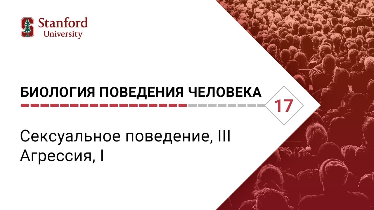 Биология поведения человека_ Лекция #17. Сексуальное поведение, III; Агрессия, I[Роберт Сапольски]