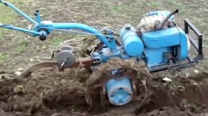 Мотоблок МТЗ-12 осенняя вспашка.