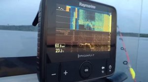 риб BalticBoats Аполлон 460 Меркури 40+Сипро елп01