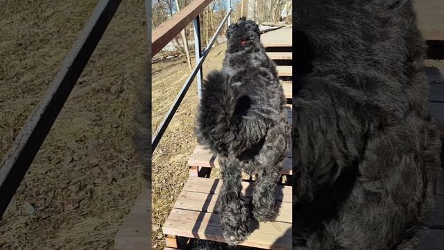 "Крутяк" смотреть онлайн