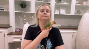 ПОДРЕЗАНИЕ МАХОВЫХ ПЕРЬЕВ НА КРЫЛЬЯХ У ПОПУГАЕВ