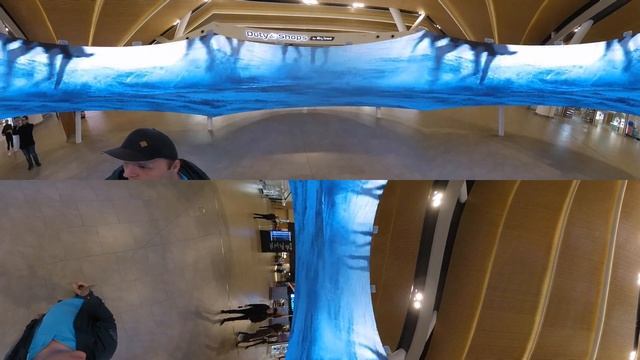 Панорамный экран и казаки. Аэропорт Платов, Ростов-на-Дону смотреть онлайн