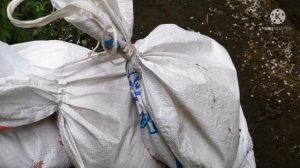 Мой метод забоя кроликов.