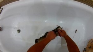 как быстро почистить форель