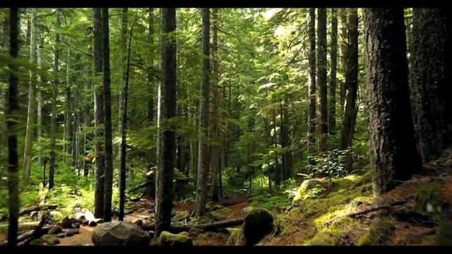 Тим#10 Праотец | Александр Цзи смотреть онлайн