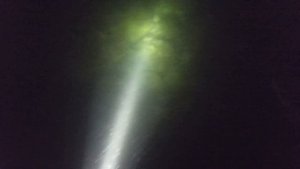 Горбыль. Ночная Подводная Охота! Черное Море.