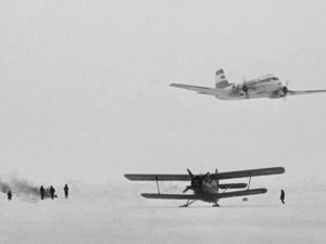 Белое безмолвие