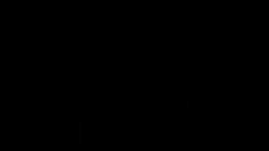 VLOG 10 ИЗ ГОА! ШОППИНГ В ИНДИИ! ТРАТИМ ДЕНЬГИ! ЧТО ПРИВЕЗТИ НА РОДИНУ? / ЦЕНЫ В ГОА \АЮРВЕДА