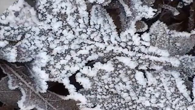 Жауын-шашын пайда болуы жайлы ақпарат. Жауын-шашынның түрлері. смотреть онлайн