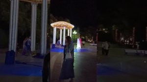 Две скрипки