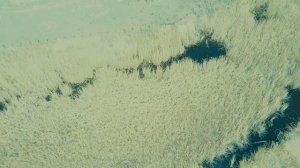 Ерик Казачий - Астрахань 2020