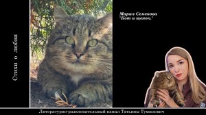 Мария Семенова "Кот и щенок".