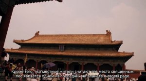 Путешествие по Нигерии: главные достопримечательности, интересные места