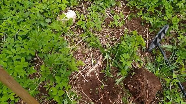 НА "ДАТСУН ОН-ДО" В ПОИСКАХ КЛАДОВ, ВЕСНА 2020!!! №89 смотреть онлайн