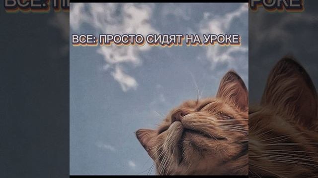 °школа°
