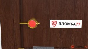 Устройство для опечатывания со штоком